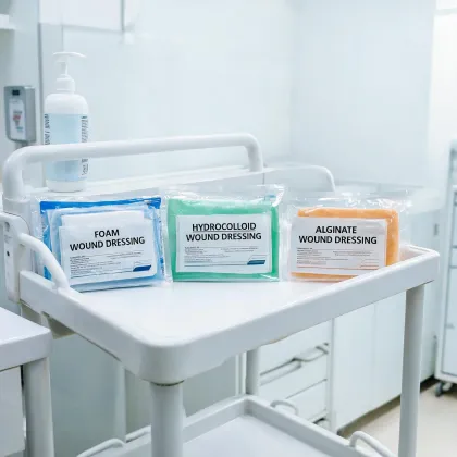 Advanced wound dressings
